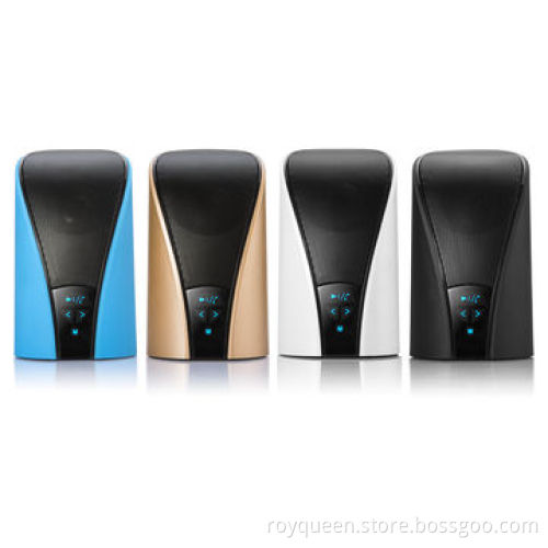 Royqueen Bluetooth speaker